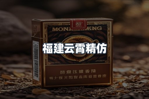 福建云霄精仿